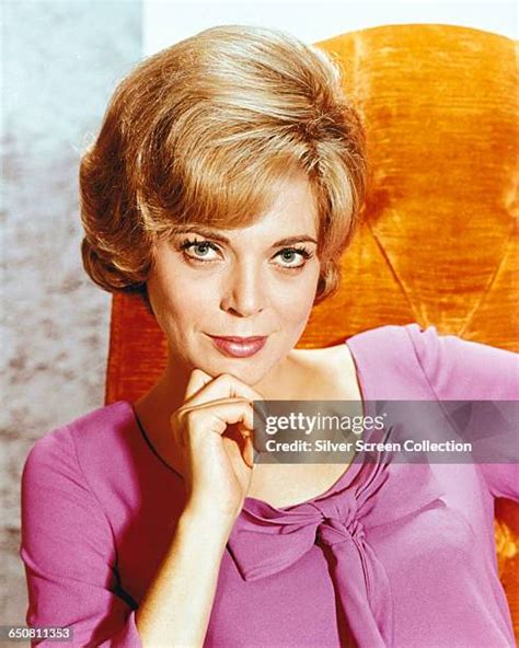 barbara bain sexy|800 Barbara Bain Photos & High Res Pictures